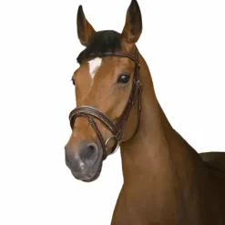 Norton - Bridon rock Havane Sale