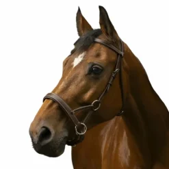 New Norton - Bridon Side pull "PRO" confort havane