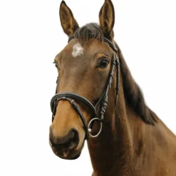 Norton - Bridon Square Noir Discount