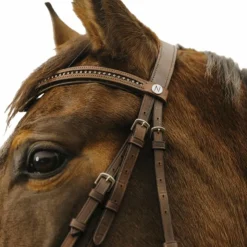 Online Norton - Bridon Strass V Havane