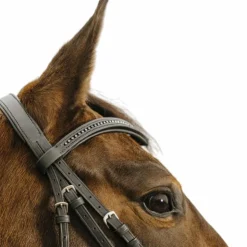 New Norton - Bridon Strass V Noir