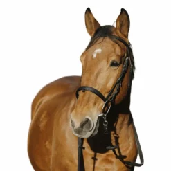 Norton - Bridon Training Noir Online