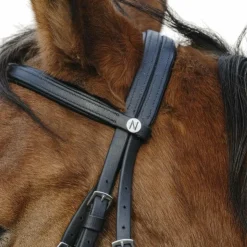 Norton - Bridon Training Noir Online