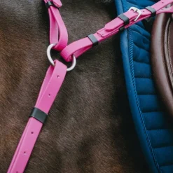 Online Norton - Collier de chasse endurance Pop Rose