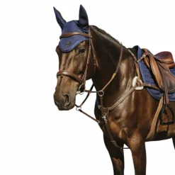 Norton - Collier de chasse 5 points havane Marron