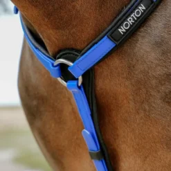 Norton - Collier de chasse endurance Pop électrique Bleu Outlet