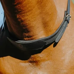 Outlet Norton - Cordelette/ Collier de monte à cru Noir