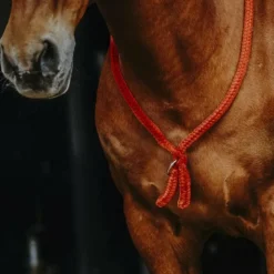 Norton - Cordelette/ Collier éthologique Marron Online