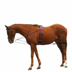 Discount Norton - Enrênement à poulies Noir