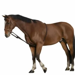 Best Norton - Enrênement extenseur doux Marron