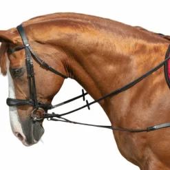 Norton - Enrênement élastique court/poulies noir