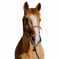 Norton - Ensemble licol éthologique et longe Suède / clair Marron Discount