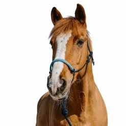 Clearance Norton - Ensemble licol éthologique et longe Suède / bleu Marine