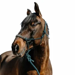 New Norton - Ensemble licol éthlogique et longe Deco / beige Vert