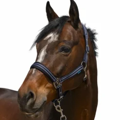 Outlet Norton - Licol 4 Lines Marine