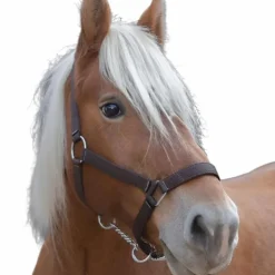 Norton - Licol cheval de trait "PRO" brun Outlet