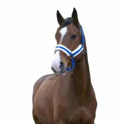 Online Norton - Licol Confort bleu vif