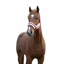 Outlet Norton - Licol Confort rouge/bouclerie argenté