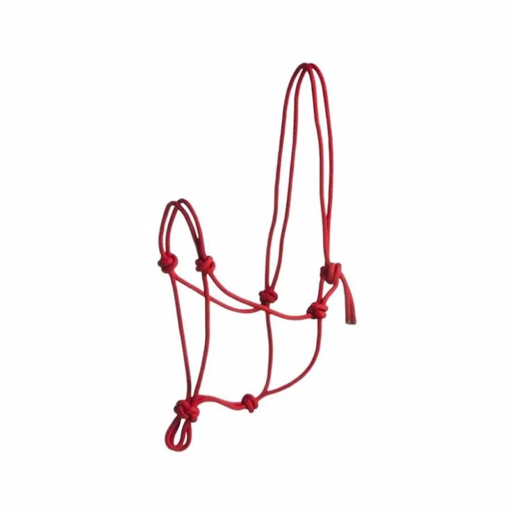 Discount Norton - Licol corde First Rouge