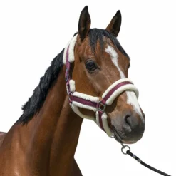 New Norton - Licol Cosy Bordeaux