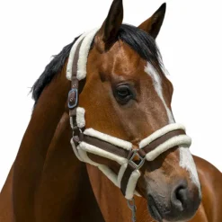 Discount Norton - Licol Cosy chocolat Marron