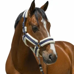 Outlet Norton - Licol Cosy Marine