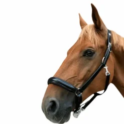 Clearance Norton - Licol cuir anatomique