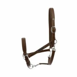 Norton - Licol cuir grooming havane Marron Best