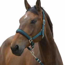 Norton - Licol et longe Large foncé Vert Outlet