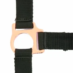 Sale Norton - Licol et longe nylon rose gold/ Noir