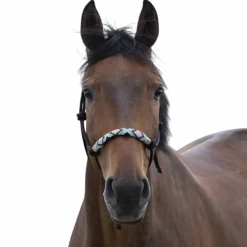 Best Norton - Licol ethologique pearl noir