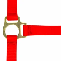 Clearance Norton - Licol foal + longe rouge