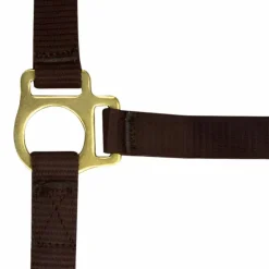 Norton - Licol foal + longe brun Best