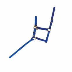 Best Norton - Licol foal + longe bleu roi