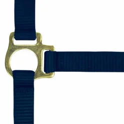 Sale Norton - Licol foal + longe marine