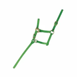 New Norton - Licol foal + longe vert clair