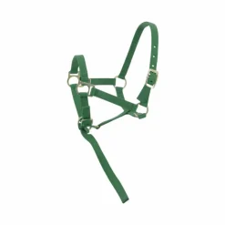 Discount Norton - Licol foal + longe vert foncé