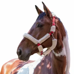 Sale Norton - Licol full mouton synthétique rouge/ écru