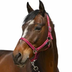 Norton - Licol Grooming Bordeaux Discount