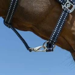 Norton - Licol Grooming Marine Clearance