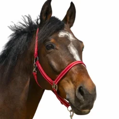 Discount Norton - Licol Grooming Rouge