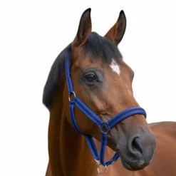 Clearance Norton - Licol nylon doublé néoprène bleu/ noir