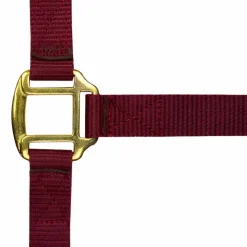 Norton - Licol nylon doublé cuir bordeaux Outlet