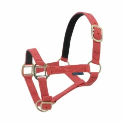 Norton - Licol nylon doublé cuir rouge Online