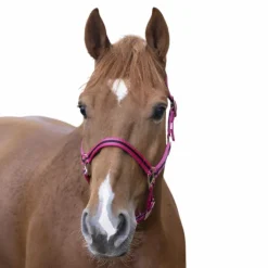 Norton - Licol nylon doublé cuir framboise/ noir Outlet