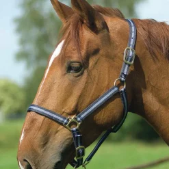 Norton - Licol nylon doublé cuir marine/ ciel Sale