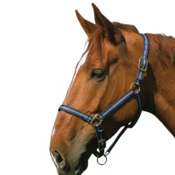 Norton - Licol nylon doublé cuir marine/ gris New