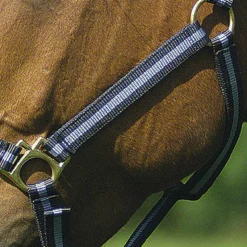 Norton - Licol nylon doublé cuir marine/ gris New