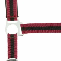 Norton - Licol nylon doublé néoprène bordeaux/ noir Clearance