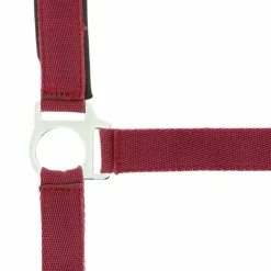 Norton - Licol nylon doublé néoprène bordeaux Discount